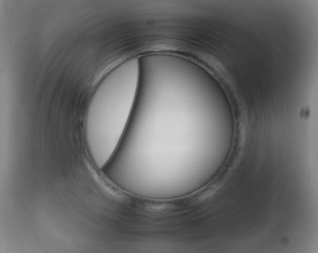 X0000112511225200908171039