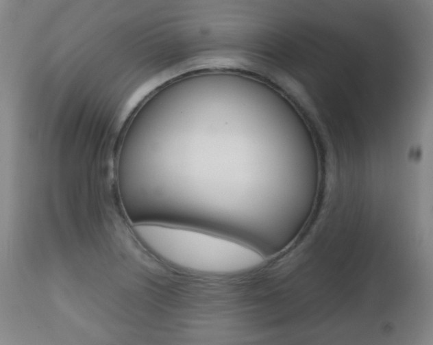 X0000112511226200908171040