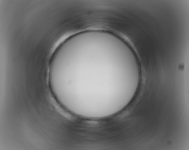 X0000112511227200908171040