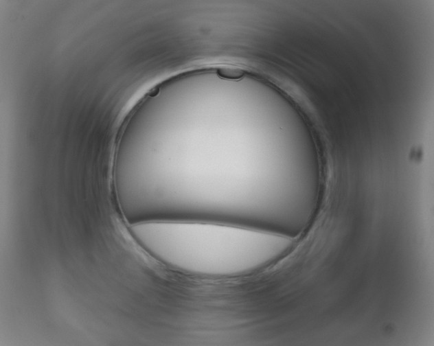 X0000112511228200908171040