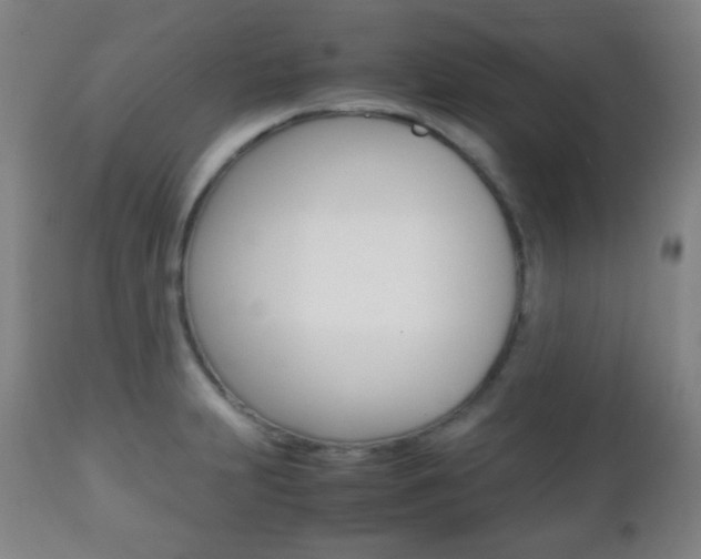 X0000112511231200908171040