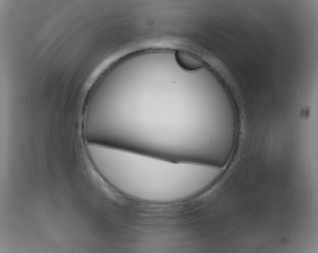 X0000112511232200908171040