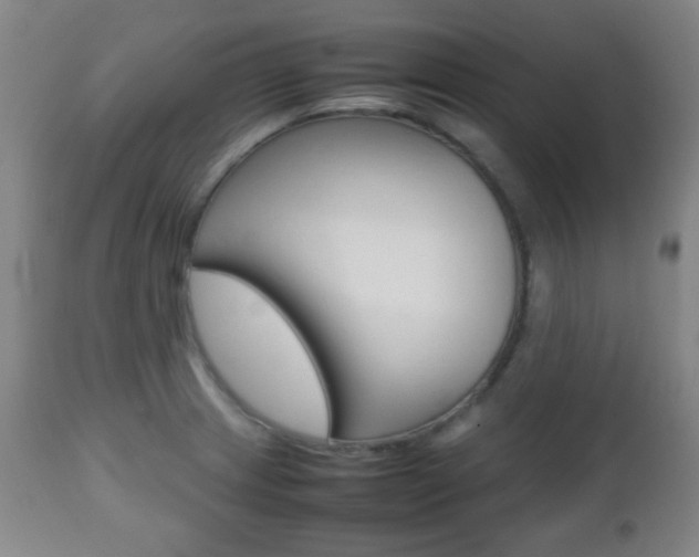 X0000112511233200908171040