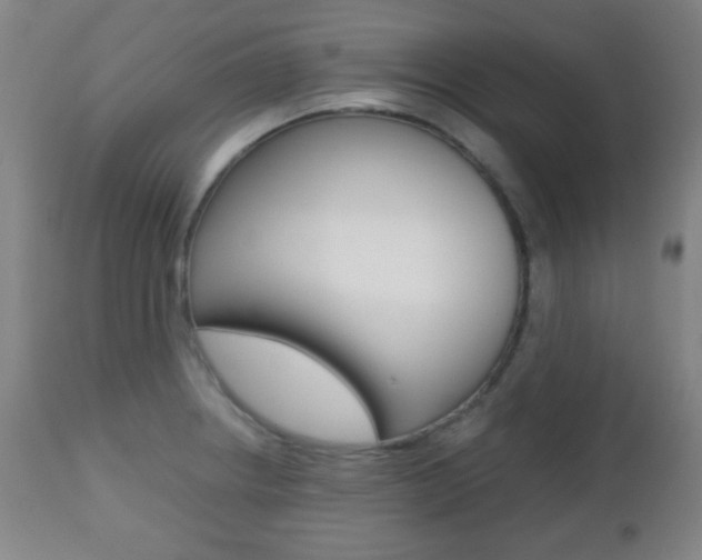 X0000112511234200908171040