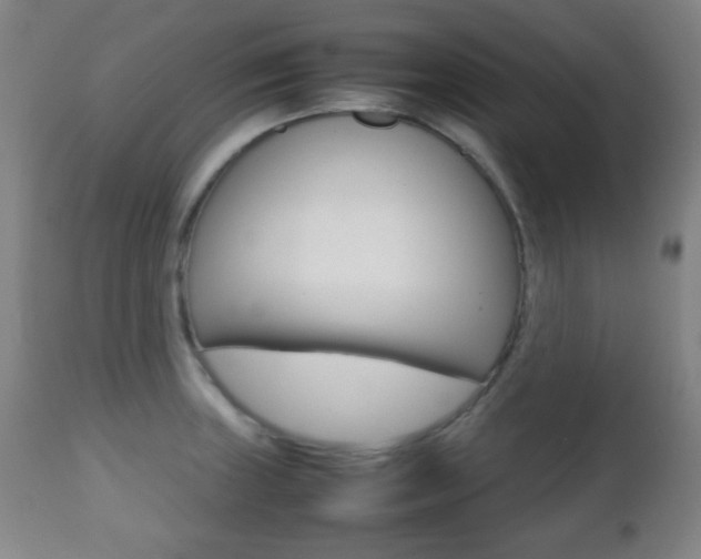 X0000112511235200908171040