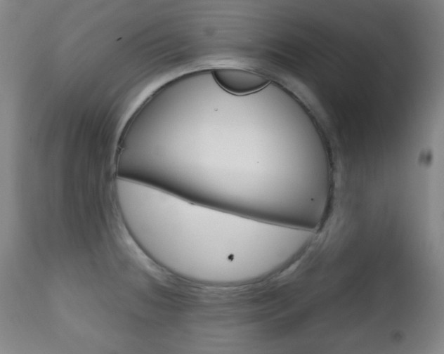 X0000112511236200908171040