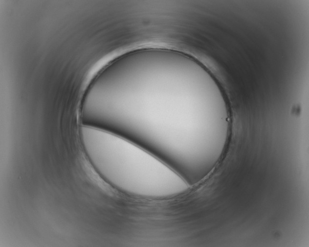 X0000112511238200908171040