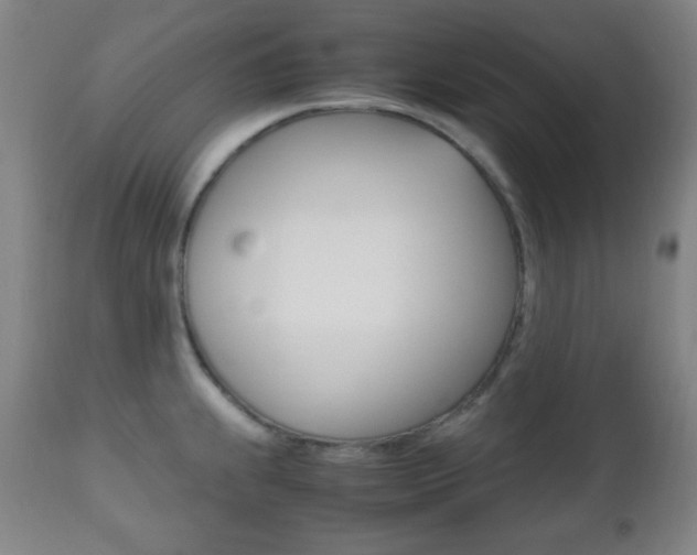 X0000112511239200908171040