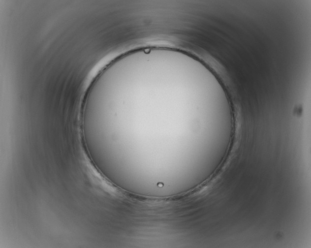 X0000112511240200908171040