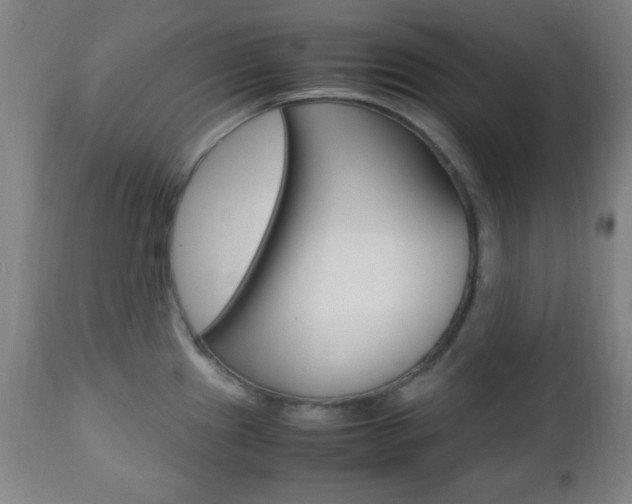 X0000112511241200908171040