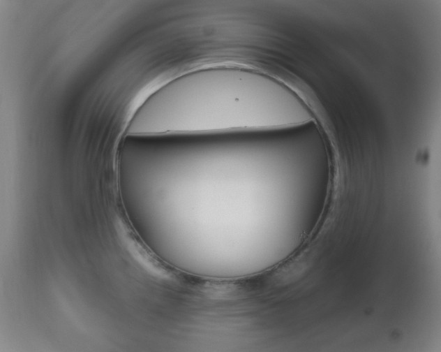 X0000112511242200908171040