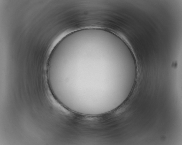 X0000112511243200908171040