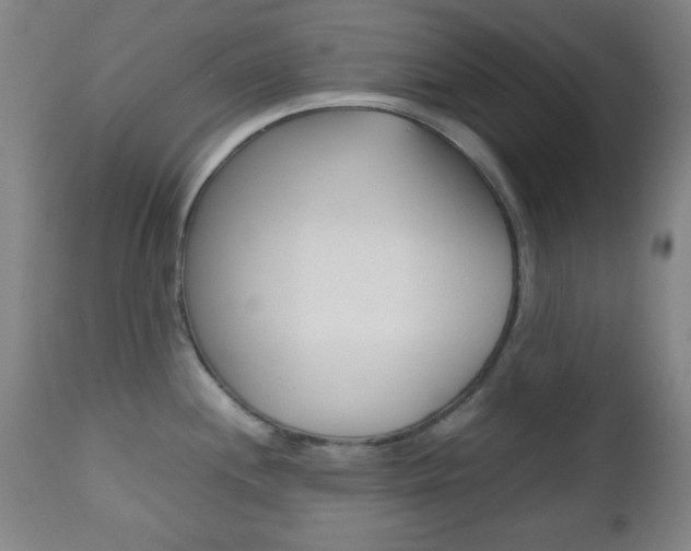 X0000112511244200908171040