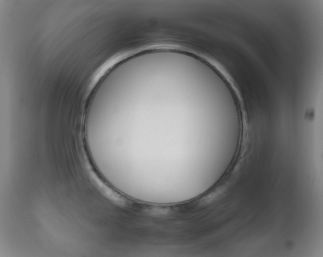 X0000112511245200908171040