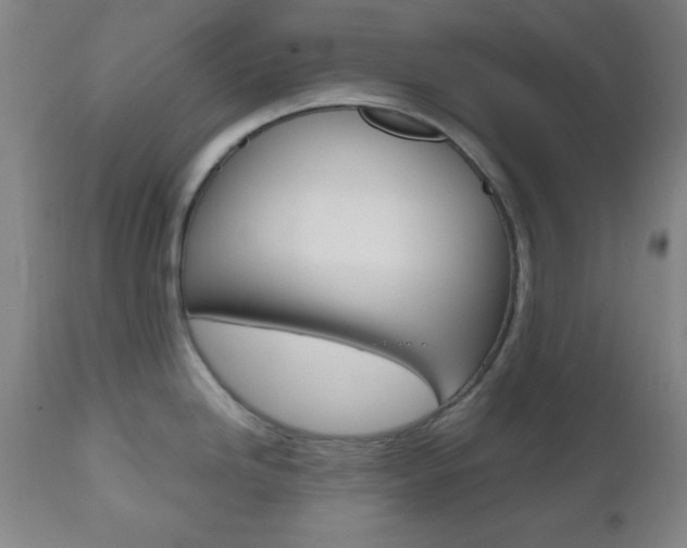 X0000112511246200908171040