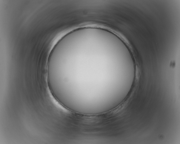 X0000112511247200908171040