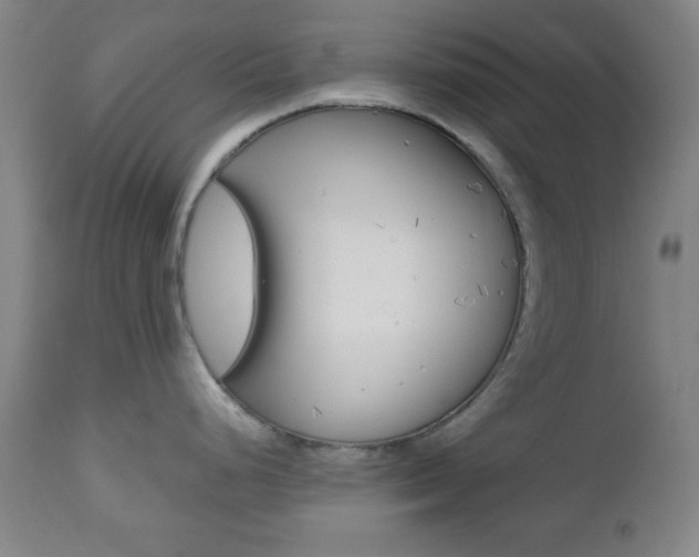 X0000112511248200908171040
