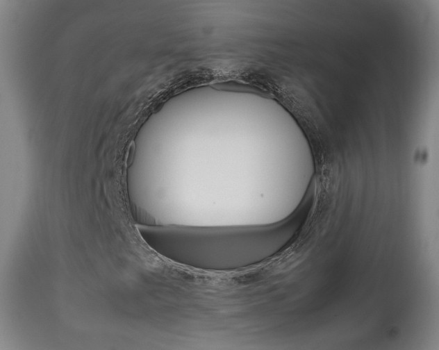 X0000112511249200908171039