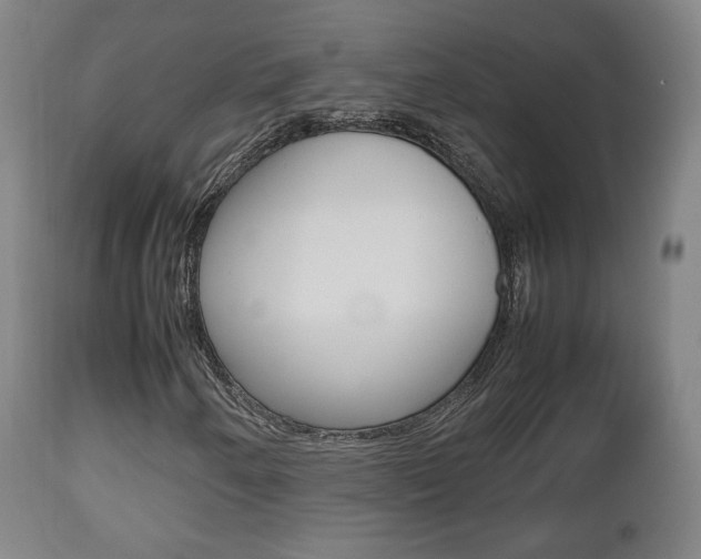 X0000112511250200908171039