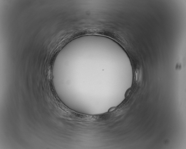 X0000112511251200908171039