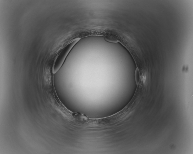 X0000112511252200908171039