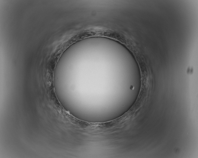 X0000112511253200908171039