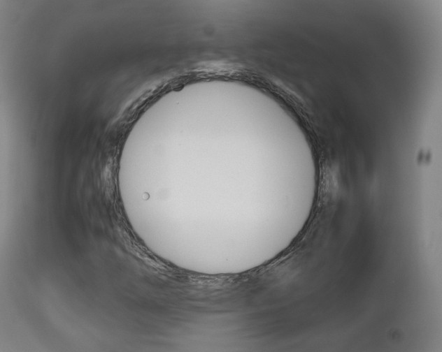 X0000112511254200908171039