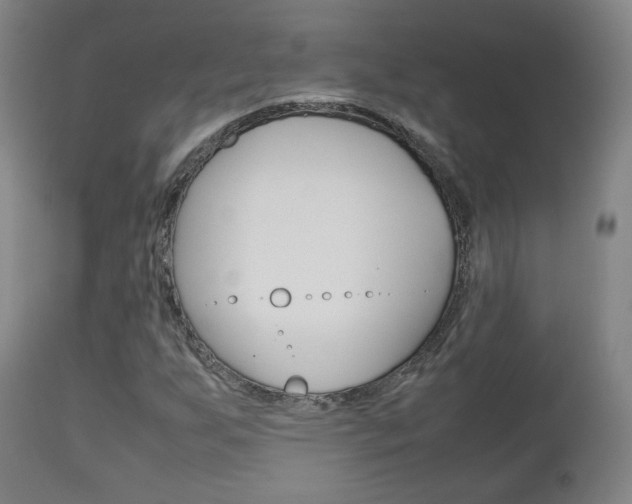 X0000112511255200908171039