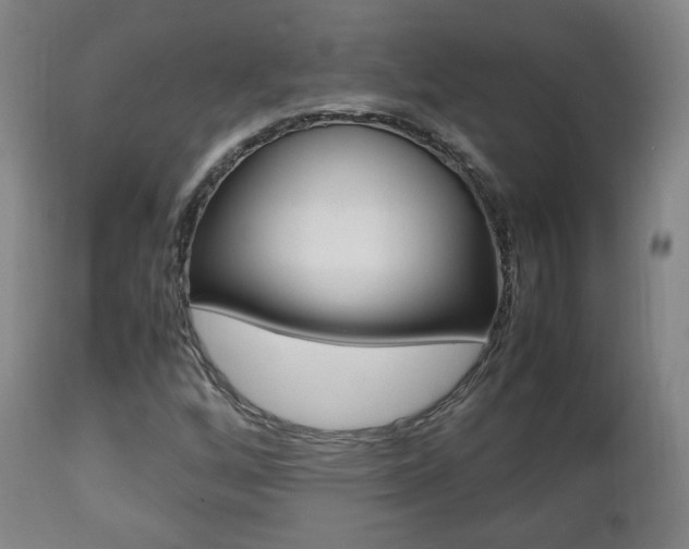 X0000112511256200908171039
