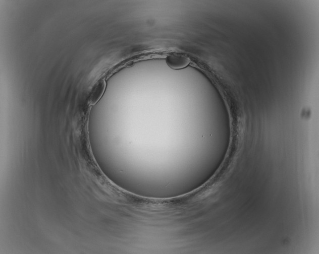 X0000112511257200908171039