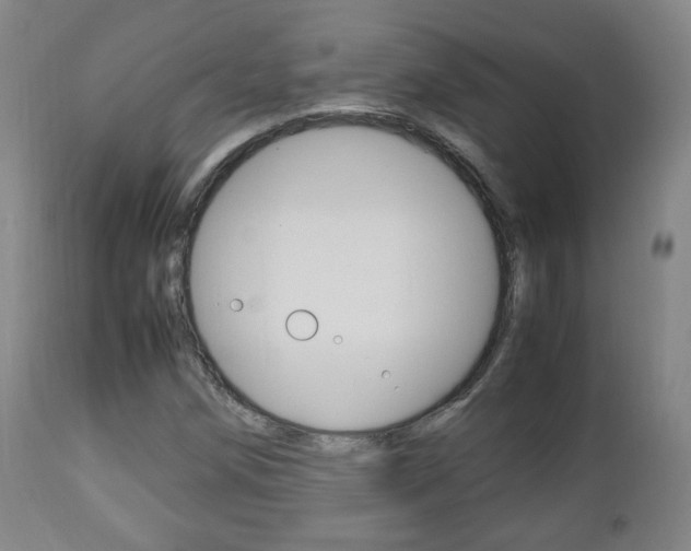 X0000112511258200908171039