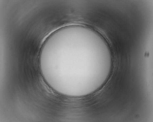 X0000112511260200908171039