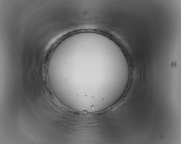 X0000112511262200908171039