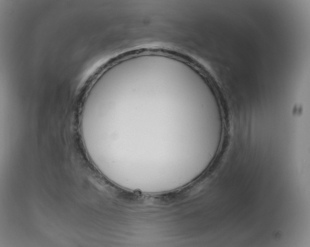 X0000112511263200908171039