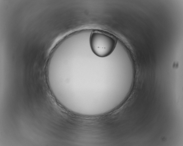 X0000112511264200908171039