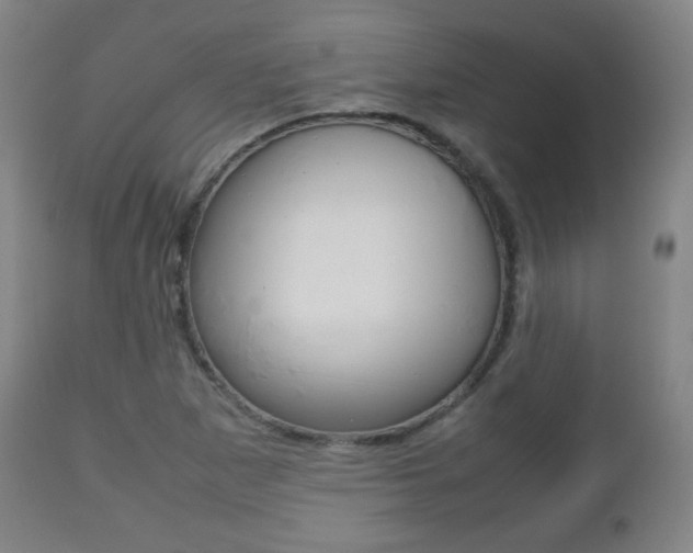 X0000112511265200908171039