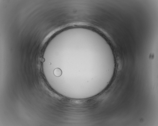 X0000112511266200908171039