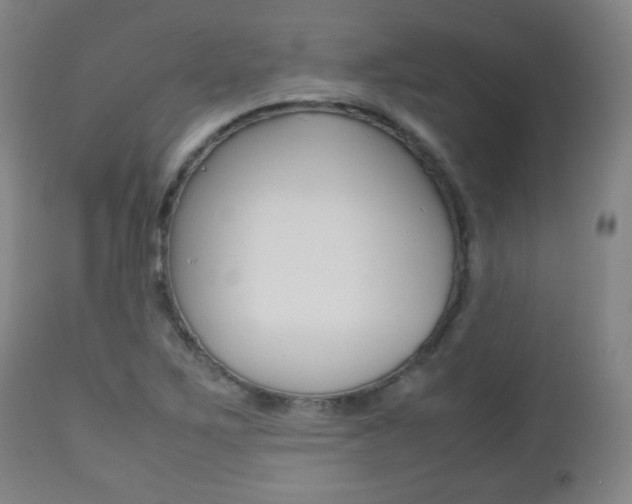 X0000112511267200908171039