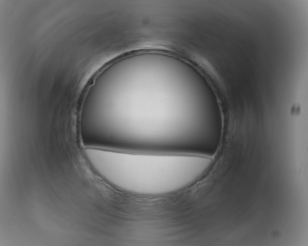 X0000112511268200908171039