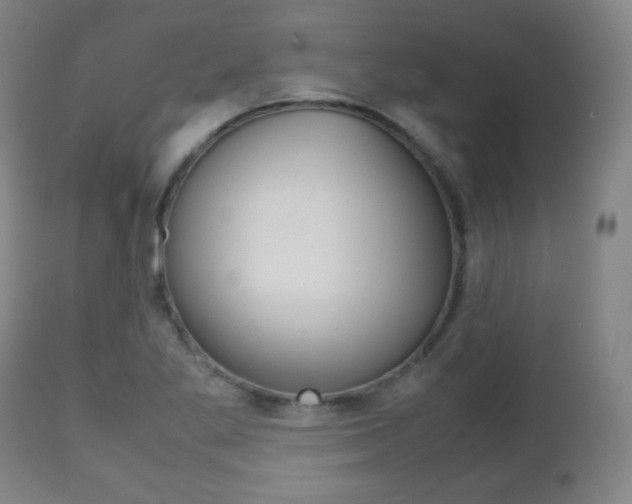 X0000112511269200908171039