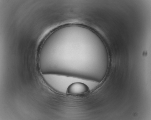 X0000112511270200908171039