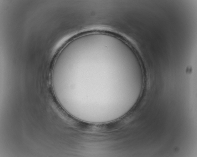 X0000112511271200908171039