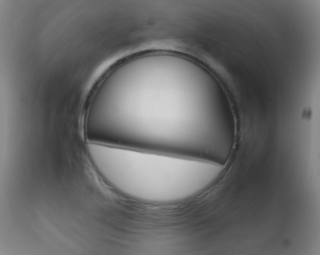 X0000112511272200908171039