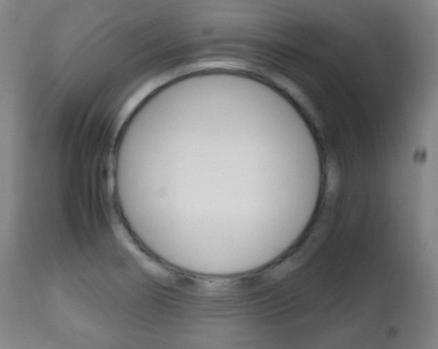 X0000112511274200908171039