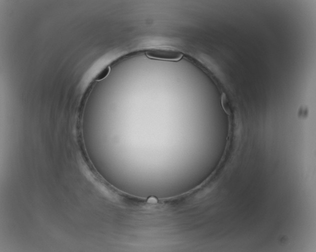 X0000112511277200908171039