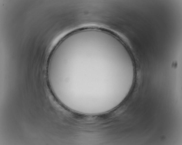 X0000112511279200908171039