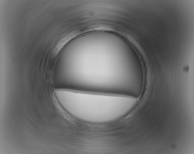 X0000112511281200908171039