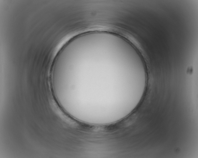 X0000112511283200908171039