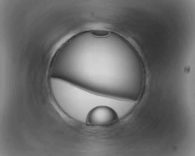 X0000112511285200908171038