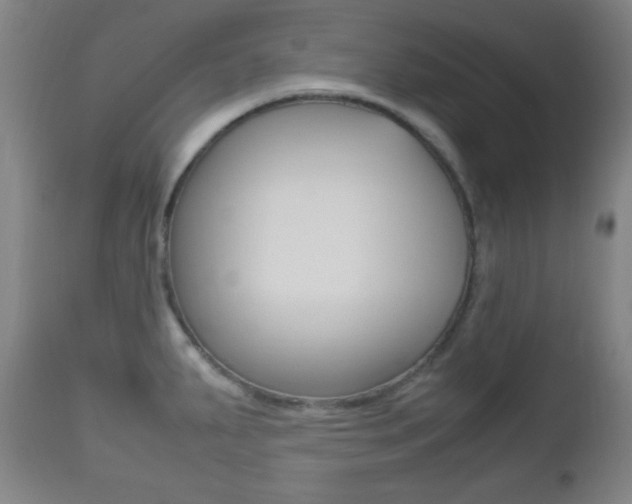 X0000112511287200908171038